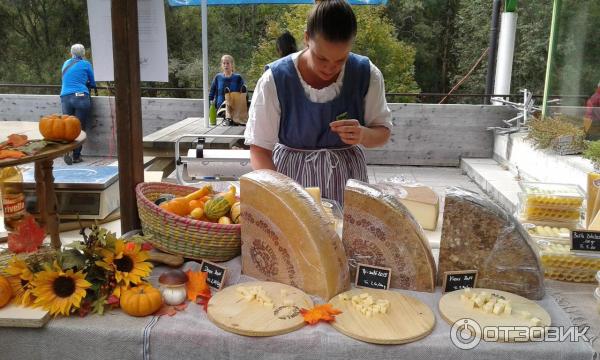 Cheese-lab.ru - онлайн-школа сыроделия Cheese lab фото