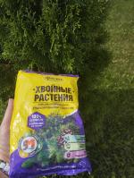 Специализированное гранулированное удобрение Фаско "Хвойные растения" фото