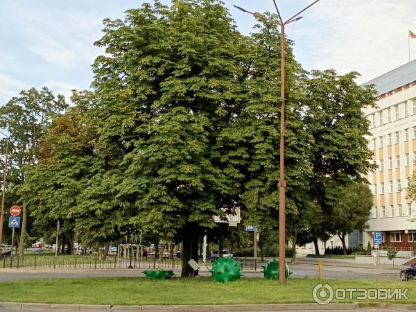 Аллея кованых фонарей (Беларусь, Брест) фото