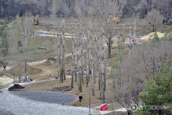 склон оврага на последнем этапе преобразования