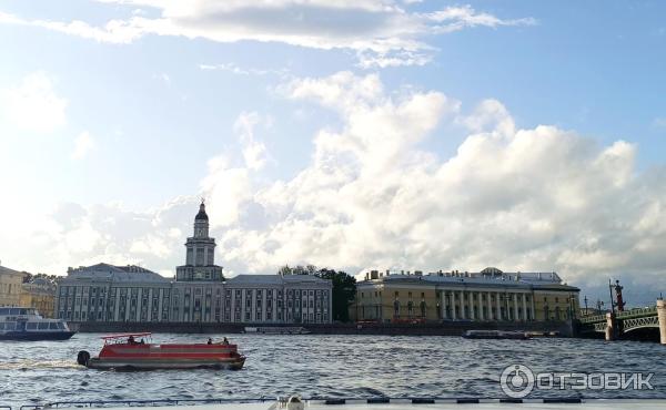 Зоологический музей (Россия, Санкт-Петербург) фото