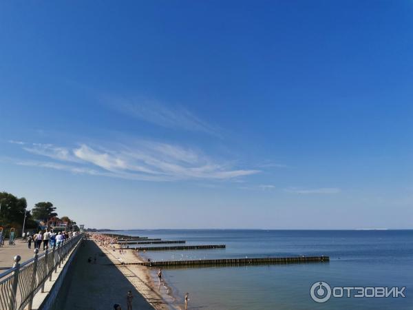 Достопримечательности Зеленоградска (Россия, Калининградская область) фото