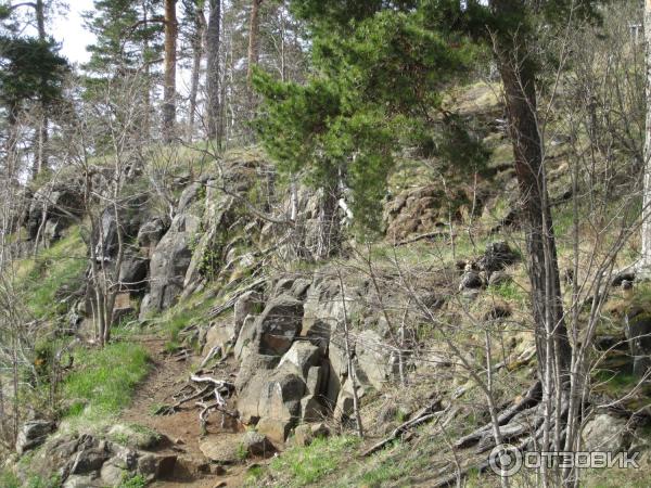 Круиз Санкт-Петербург - Валаам - Санкт-Петербург на теплоходе Санкт-Петербург фото