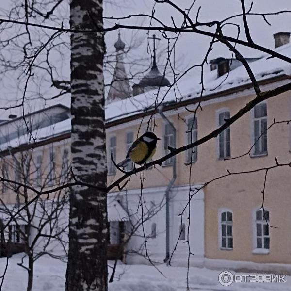 Спасо-Прилуцкий Димитриев православный монастырь (Россия, Вологда) фото