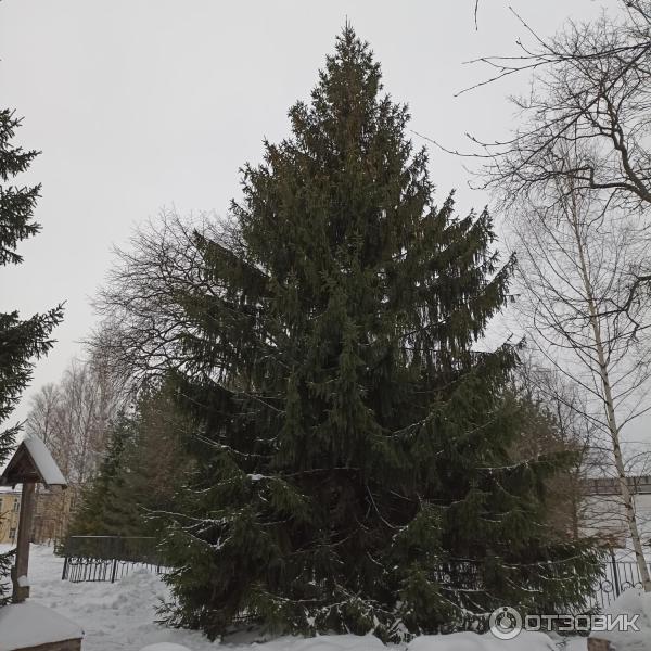 Спасо-Прилуцкий Димитриев православный монастырь (Россия, Вологда) фото