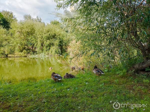 Спасо-Прилуцкий Димитриев православный монастырь (Россия, Вологда) фото