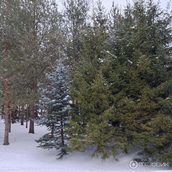 Спасо-Прилуцкий Димитриев православный монастырь (Россия, Вологда) фото