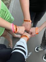 Приют для кошек "Муркоша" (Россия, Москва) фото