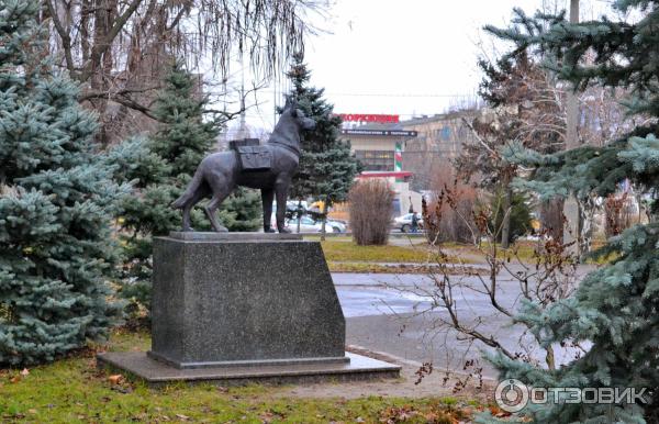 вид сбоку на памятник собакам-подрывникам