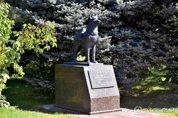 современный снимок памятника собакам-подрывникам