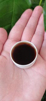 Удобрение Фитоспорин-М для цветов и комнатных растений фото