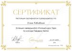 Sila-taro.info - онлайн-школа таро Анастасии Мон фото