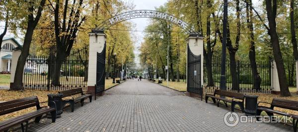 Колесо обозрения в Измайловском парке культуры и отдыха (Россия, Москва) фото