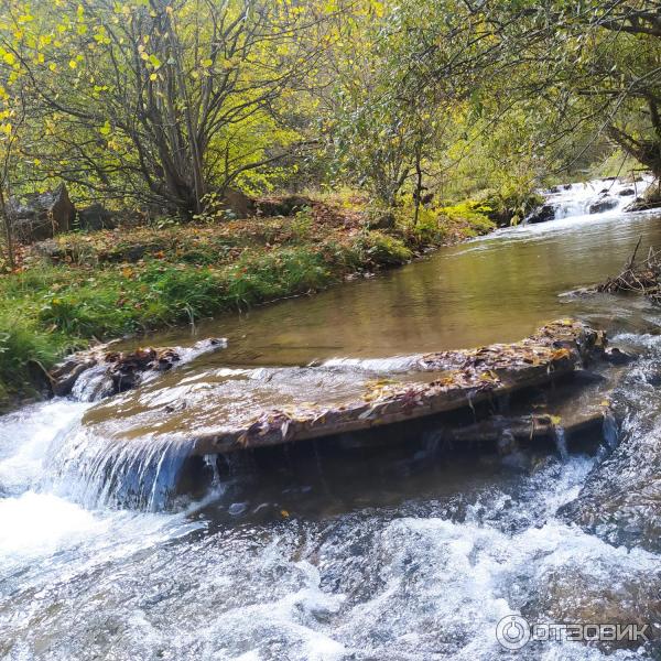 Березовское ущелье (Россия, Кисловодск) фото