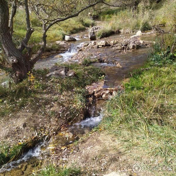 Березовское ущелье (Россия, Кисловодск) фото