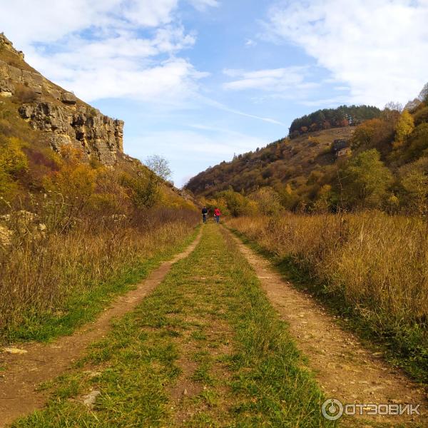 Березовское ущелье (Россия, Кисловодск) фото