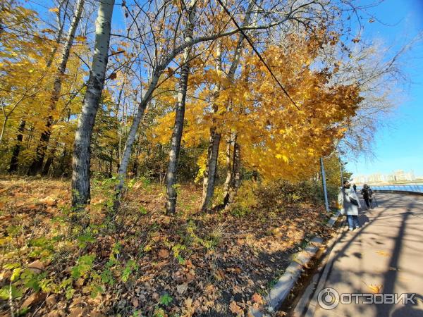 Музейно-парковый комплекс Северное Тушино (Россия, Москва) фото