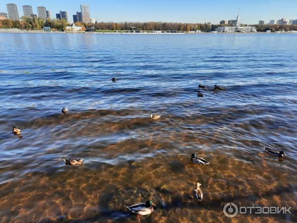 Музейно-парковый комплекс Северное Тушино (Россия, Москва) фото