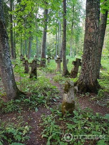 Монастырь Никандрова пустынь (Россия, Псковская область) фото