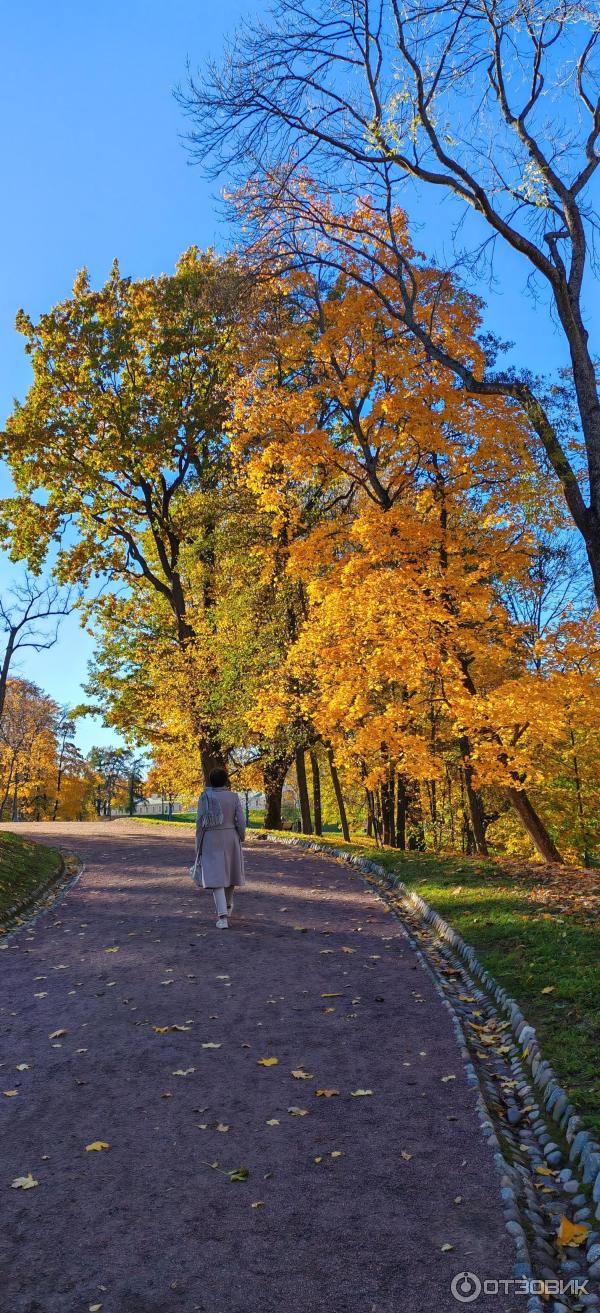 Парк 300-летия города Ломоносова (Россия, Санкт-Петербург) фото