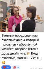 Приют для кошек "Муркоша" (Россия, Москва) фото