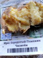 Garshinka.ru - интернет-магазин садовых растений фото