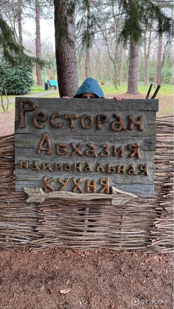 Сад-пансионата Самшитовая роща (Абхазия, Пицунда) фото