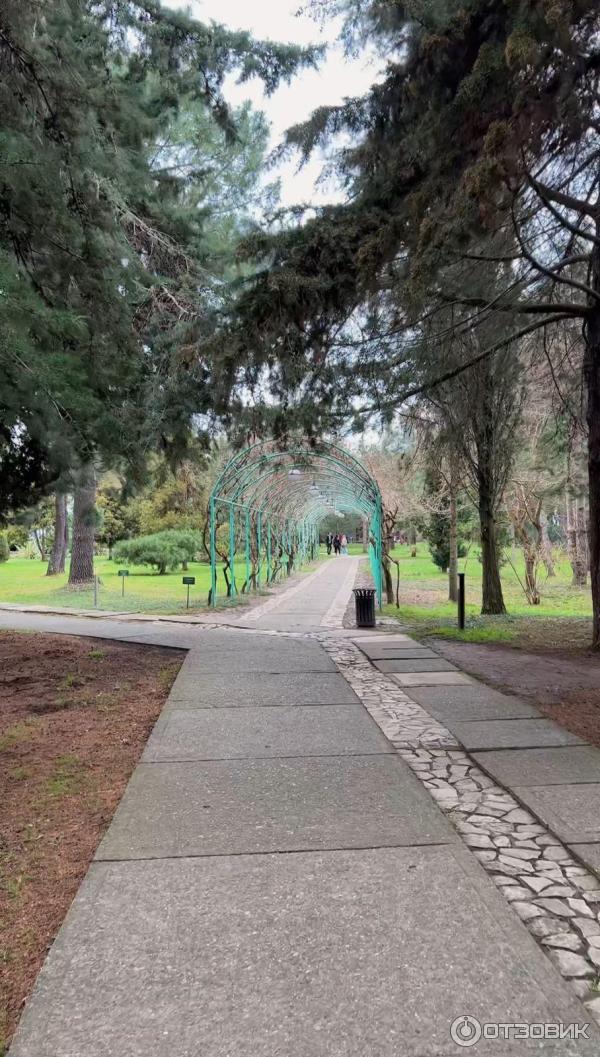 Сад-пансионата Самшитовая роща (Абхазия, Пицунда) фото