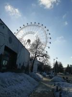 Колесо обозрения "Солнце Москвы" на территории ВДНХ (Россия, Москва) фото