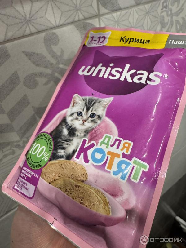 Корм для котят Whiskas Паштет с курицей фото