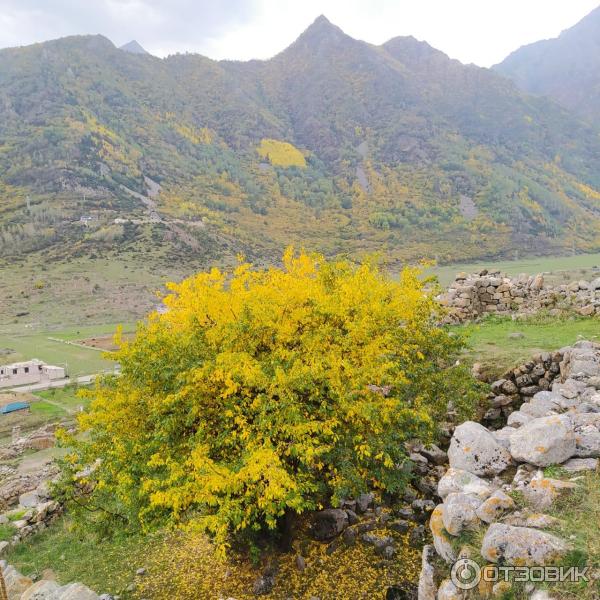 Развалины аула Кюнлюм (Россия, Верхняя Балкария) фото