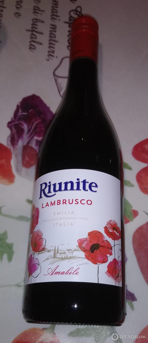 Вино Riunite Lambrusco Rosso Emilia фото