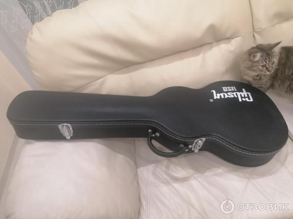 Гитарный кейс Epiphone Les Paul фото