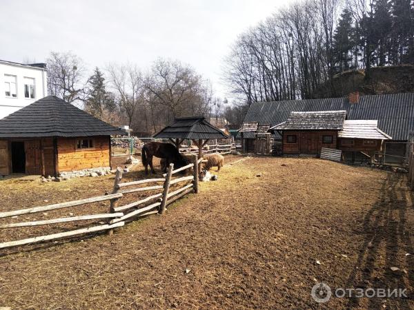 Музей народной архитектуры и быта (Украина, Львов) фото