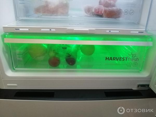 Отзыв о Холодильник Beko HarvestFresh B5RCNK403ZWB | Удобный ...