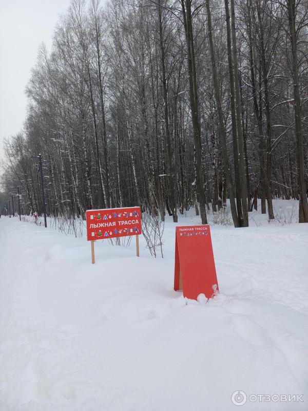 Авангард московская область