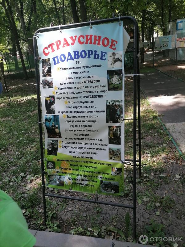 рекламный штендер Страусиного подворья