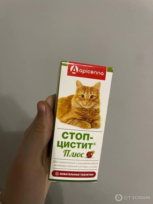 Стоп Цистит Для Кошек Купить В Красноярске