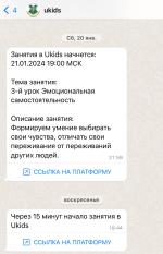 Академия Ukids (Юкидс) - онлайн обучение гибким навыкам фото