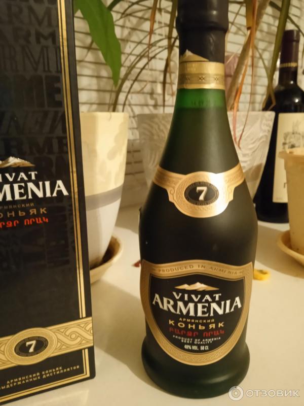 Виват армения 7 отзывы