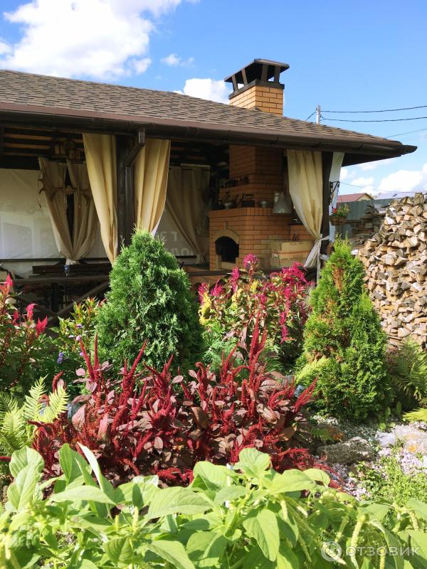 АМАРАНТ Вишневый бархат