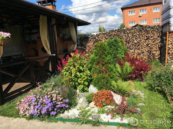 АМАРАНТ Вишневый бархат