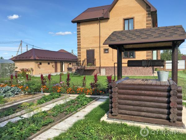 АМАРАНТ Вишневый бархат