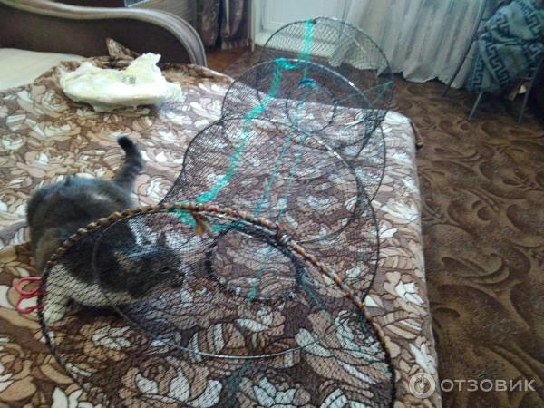 Верша рыболовная складная снасть для пассивного лова фото