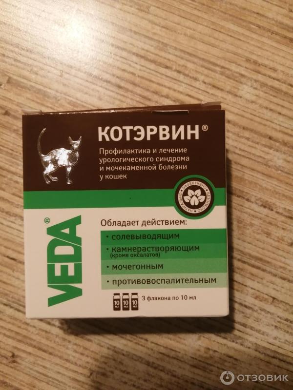 Котэрвин отзывы ветеринаров. Котэрвин отзывы ветеринаров