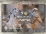 Смеситель для кухни Florentina фото