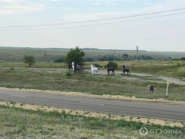 Поездка на автомобиле по Казахстану фото