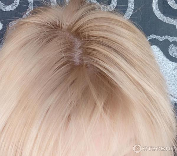 Отзыв о Краска для волос Garnier оттенок 9.1 "Солнечный пляж ...