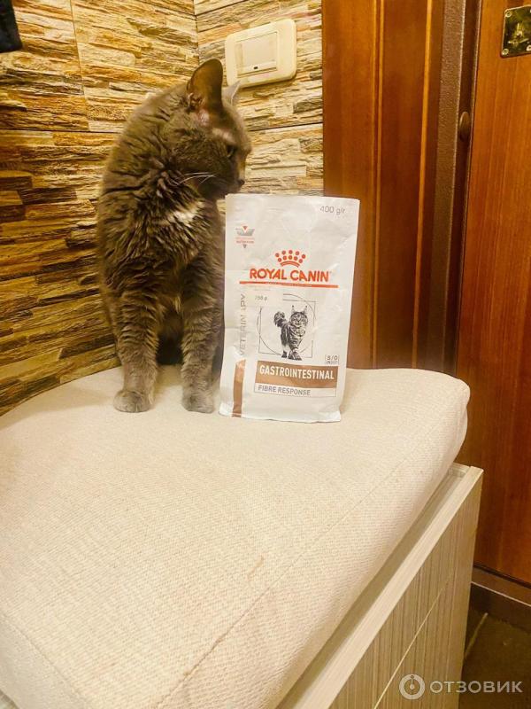Отзыв о Сухой корм для кошек Royal Canin Gastrointestinal Fibre ...