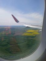 Отдых в Калининграде (Россия, Калининградская область) фото